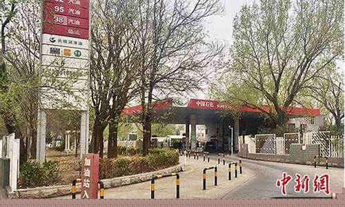 石家庄95油价变化_石家庄95号汽油